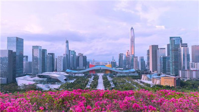 高端品茶体验,尽在上海微信公众号 高端品茶体验,尽在上海微信公众号